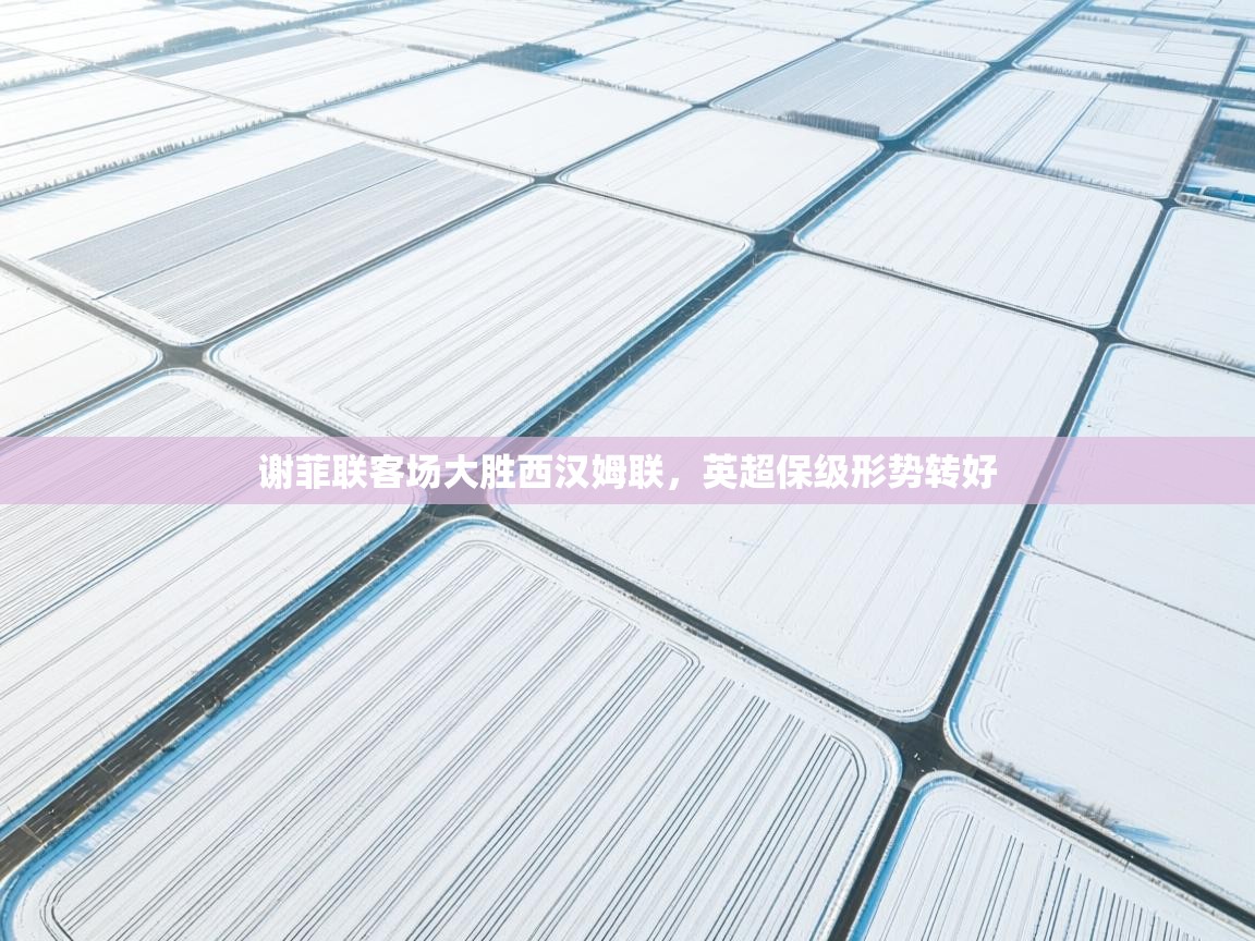 谢菲联客场大胜西汉姆联，英超保级形势转好  第2张