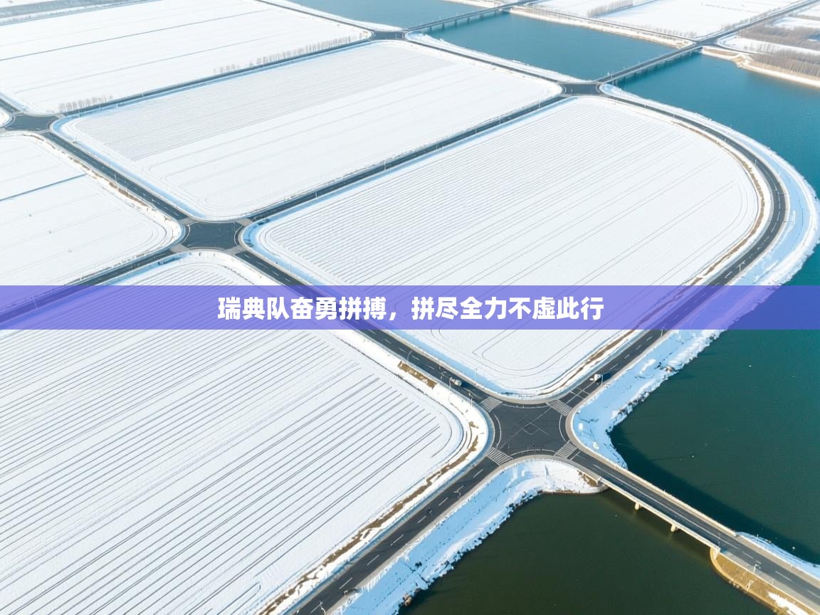 瑞典队奋勇拼搏，拼尽全力不虚此行  第1张