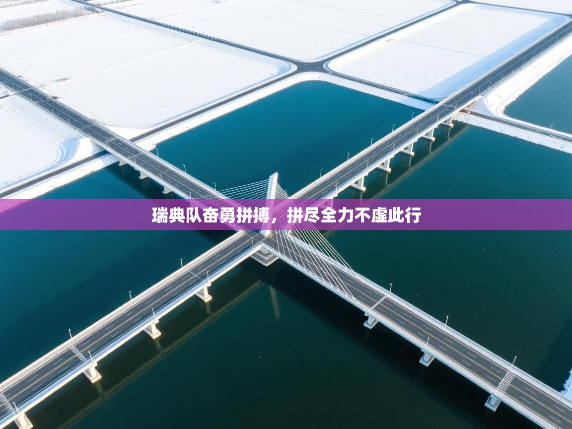 瑞典队奋勇拼搏，拼尽全力不虚此行  第2张