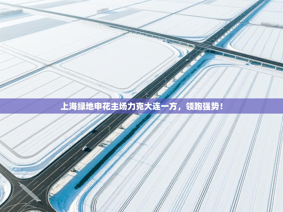 上海绿地申花主场力克大连一方，领跑强势！  第1张