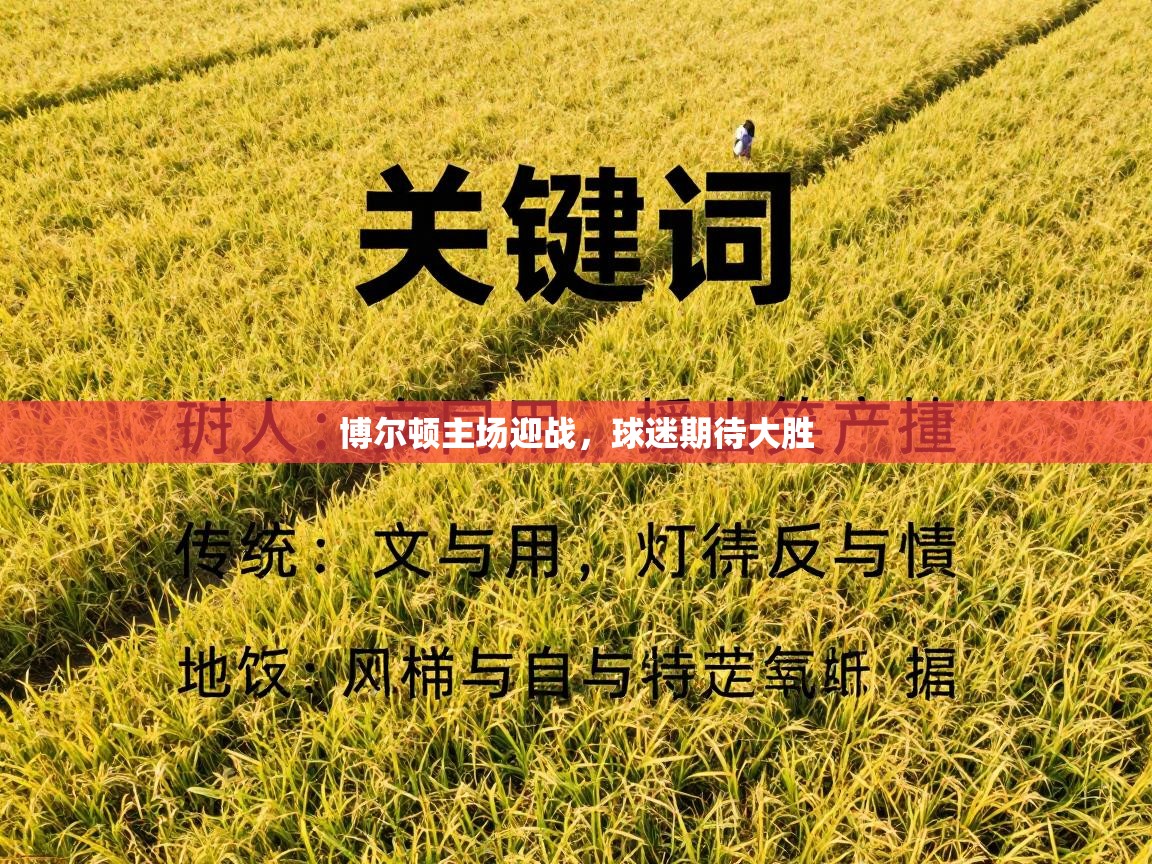 博尔顿主场迎战，球迷期待大胜  第2张